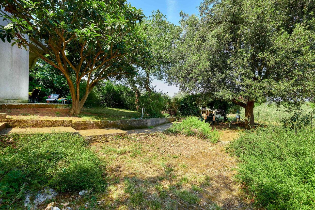 Apartments Davorka بنجول المظهر الخارجي الصورة