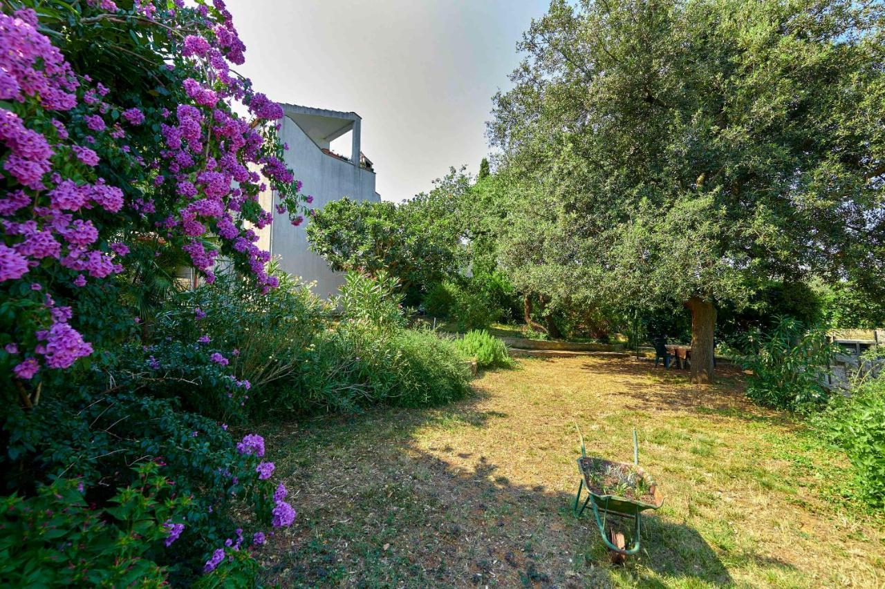 Apartments Davorka بنجول المظهر الخارجي الصورة